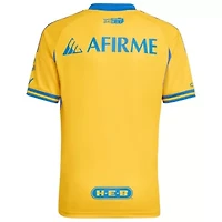 Liga MX Tigres UANL 2025/26 Home Replica Jersey