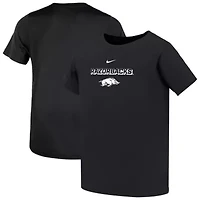 NCAA Nike Arkansas Razorbacks Legend Performance T-Shirt