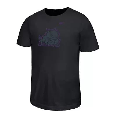 NCAA Nike TCU Horned Frogs Legend Color Pop Performance T-Shirt
