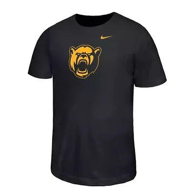 NCAA Nike Baylor Bears Legend Color Pop Performance T-Shirt