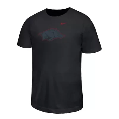 NCAA Nike Arkansas Razorbacks Legend Color Pop Performance T-Shirt