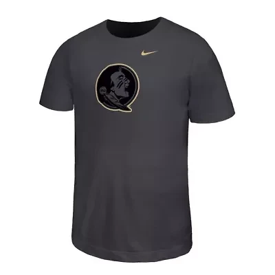 NCAA Nike Florida State Seminoles Legend Color Pop Performance T-Shirt