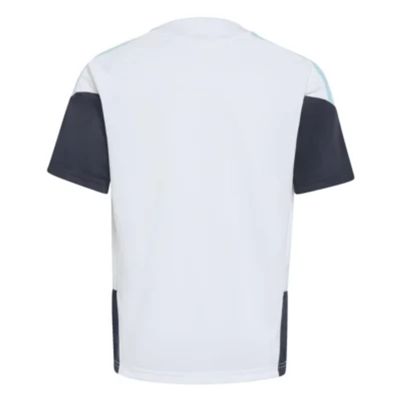 Soccer National Teams Argentina Team FIFA x World Cup 2026 Tiro Training Jersey