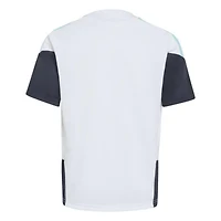 Soccer National Teams Argentina Team FIFA x World Cup 2026 Tiro Training Jersey