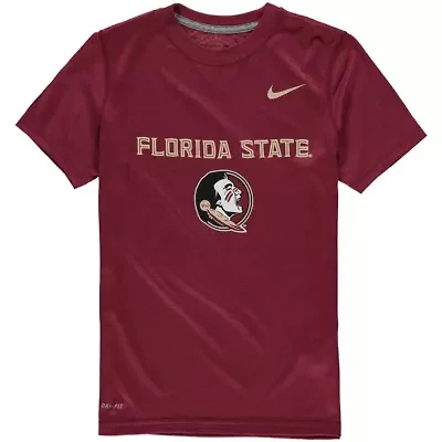 NCAA Nike Florida State Seminoles Logo Legend Performance T-Shirt