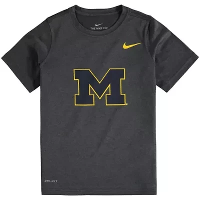 NCAA Nike Michigan Wolverines Logo Legend Performance T-Shirt