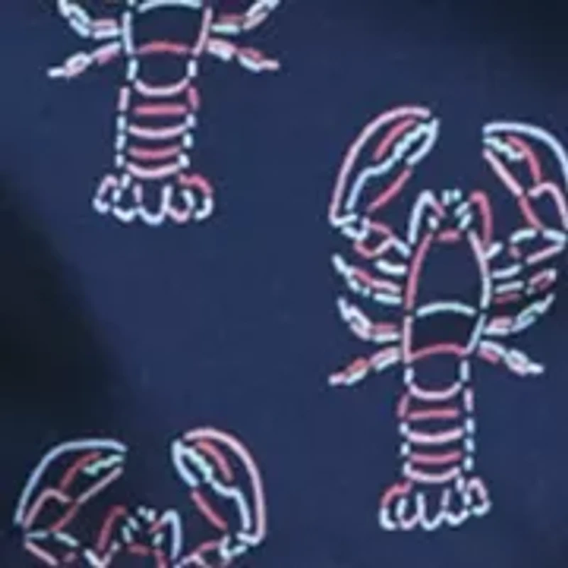 Boys 8-20 Lobster Print Swim Trunks