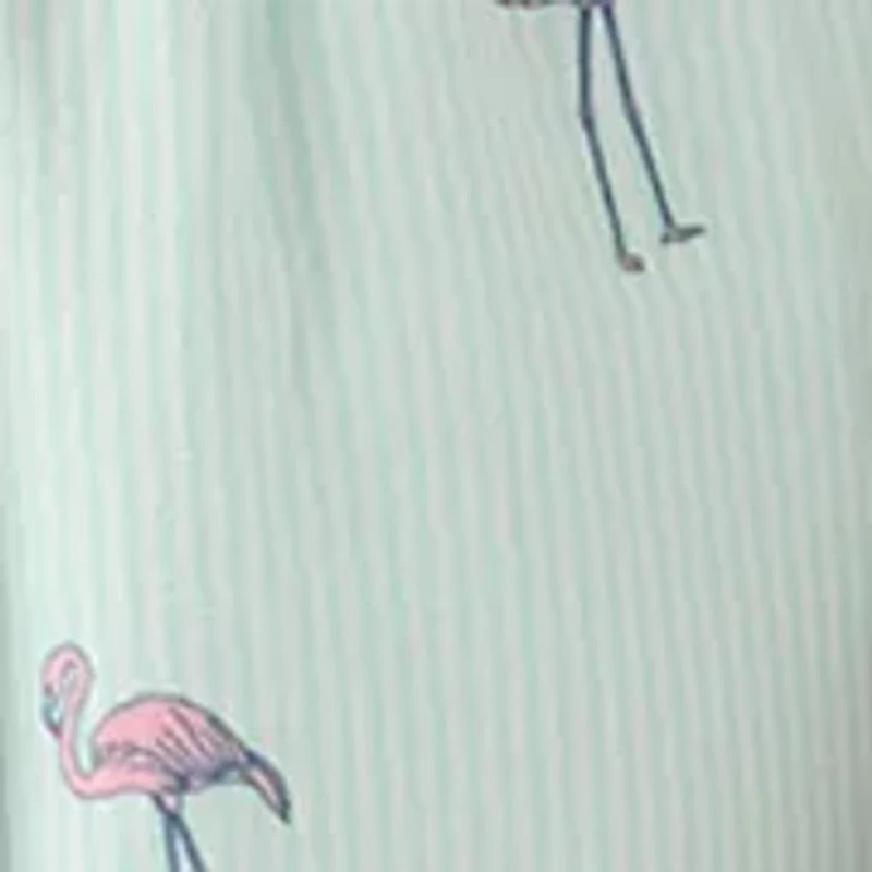 Boys 8-20 Flamingo Print Shorts