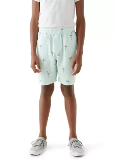 Boys 8-20 Flamingo Print Shorts