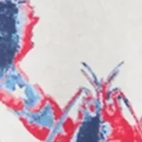 Boys 8-20 Patriotic Lobster T-Shirt