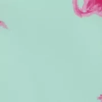 core poly swim trunks