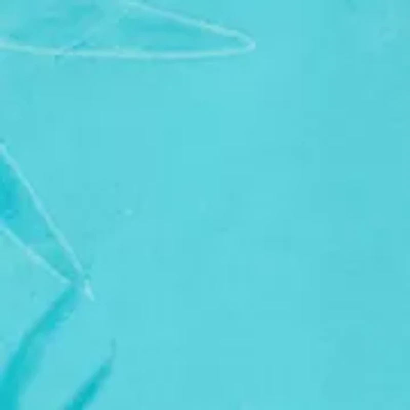 Boys 8-20 Watermark Swim Trunks