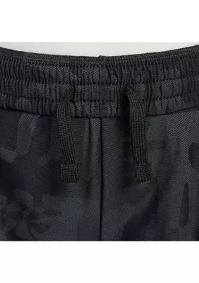 Boys Big Kids' Dri-FIT Shorts