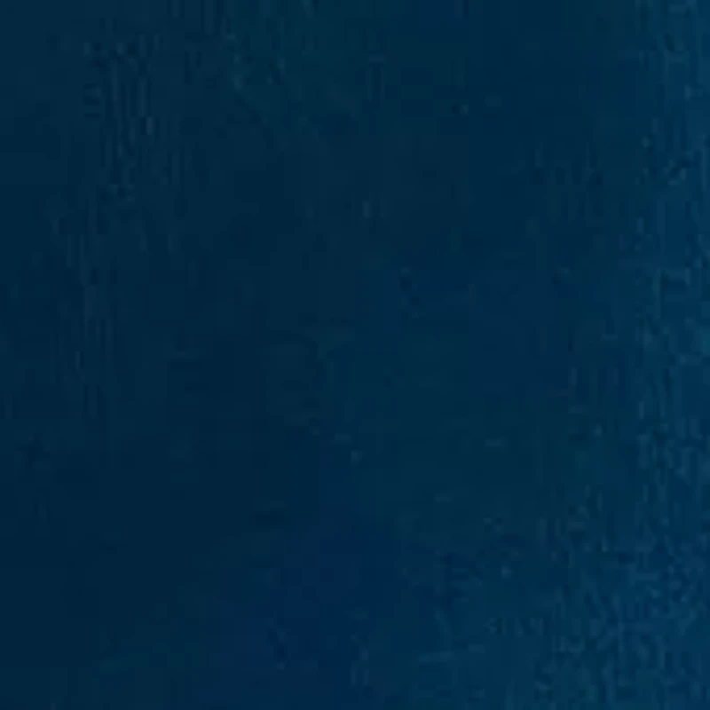 Boys 8-20 Cool Creature Cargo Pants