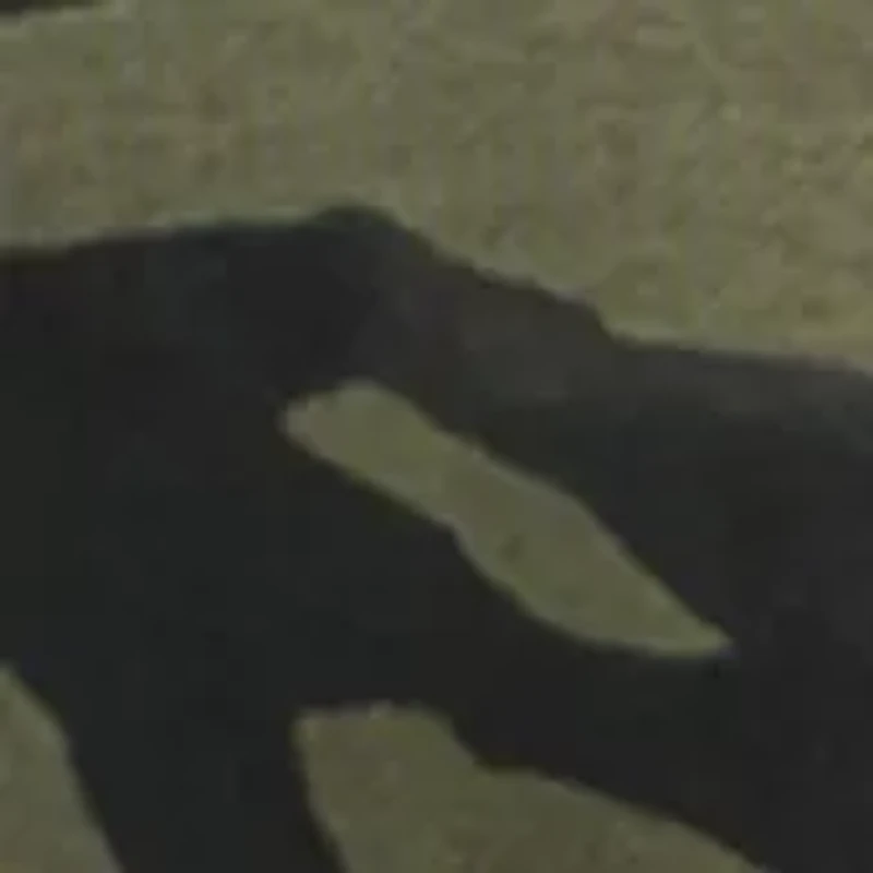 Boys Rival Fleece Printed HD