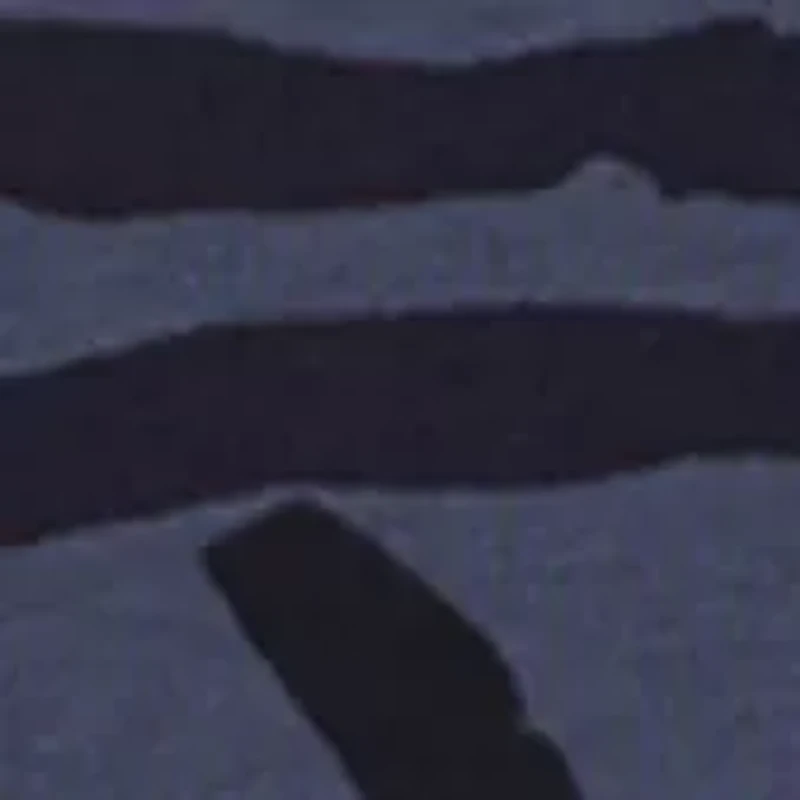 Boys Rival Fleece Printed HD