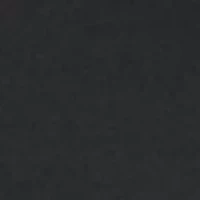 Boys Freedom Vets Day SS