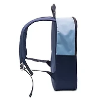 Bluey 15" Boys Backpack With Padded Straps & Zip Compartment - Ideal Toddler Bookbag For School & Travel