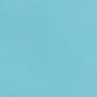 Boys 8-20 Wove Play Shorts