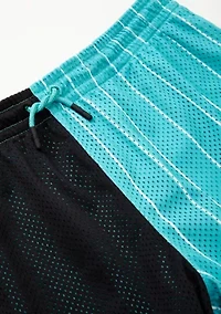 Boys 8-20 Playoff Shorts