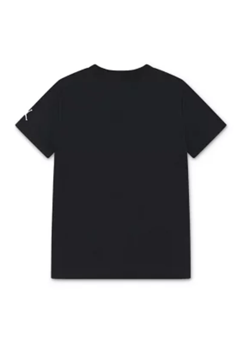 Boys 8-20 Flamingo Graphic T-Shirt