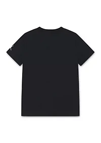 Boys 8-20 Flamingo Graphic T-Shirt