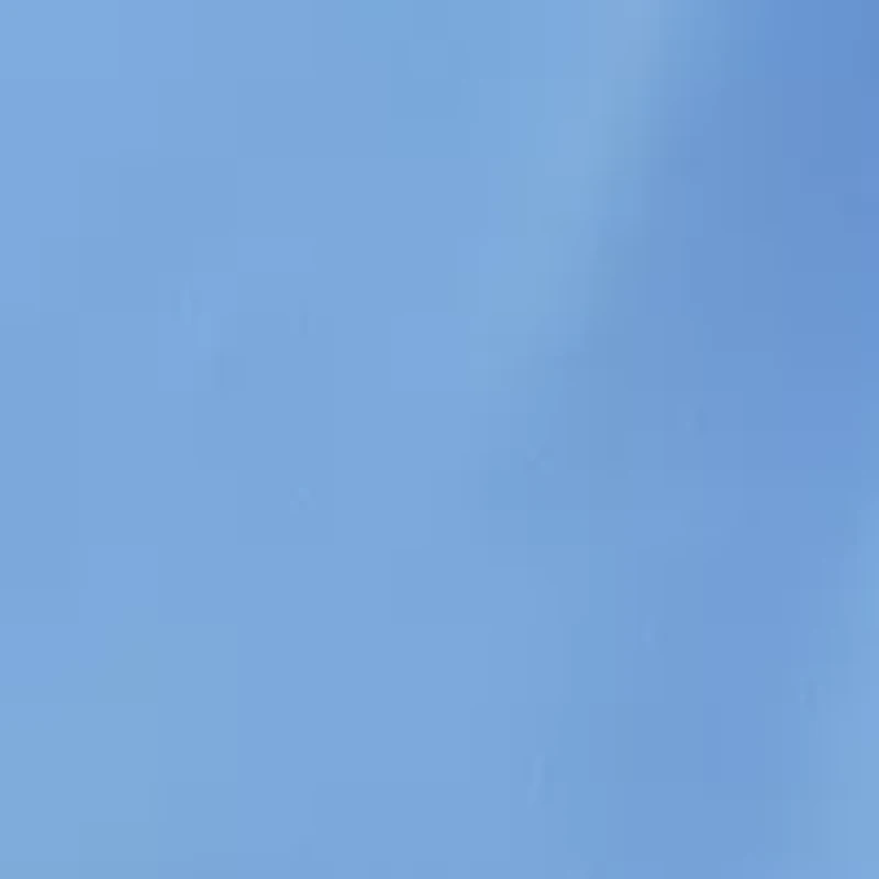 Boys 4-7 Shirt and Shorts Set