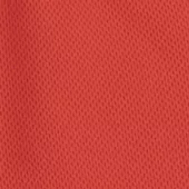 BOYS 4-7 Shirt and Shorts Mesh Set