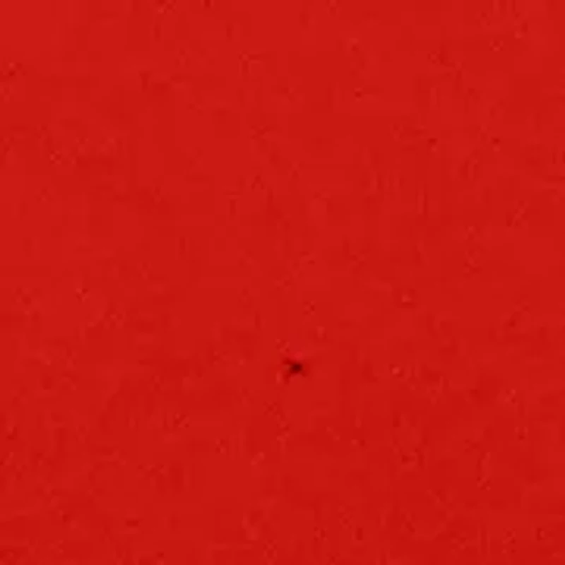 Boys 4-7 Graphic T-Shirt and Shorts Set