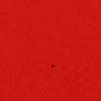 Boys 4-7 Graphic T-Shirt and Shorts Set