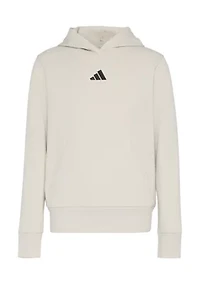 Boys 8-20 Long Sleeve Essentials Small Logo Hooded Pullover