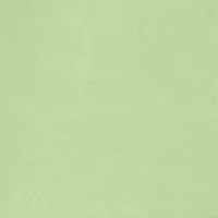 Boys 8-20 Lenticular Camo Linear T-Shirt