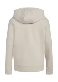 Boys 8-20 adidas Long Sleeve Essential Hooded Pullover