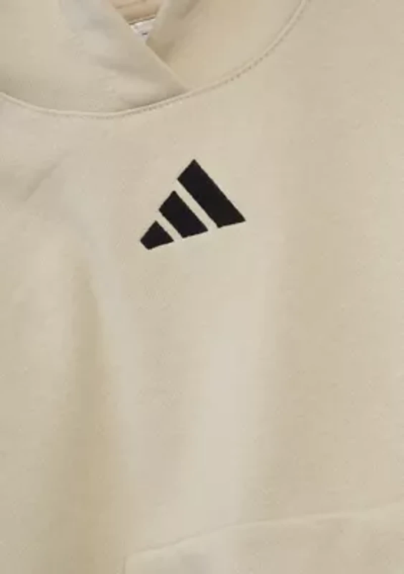 Boys 4-7 Essentials Fleece Hoodie & Jogger Set