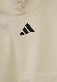 Boys 4-7 Essentials Fleece Hoodie & Jogger Set