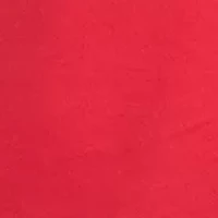 Boys 4-7 Two-Piece Short Sleeve T-Shirt & Printed Camo Set