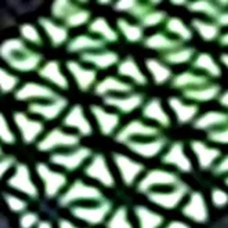 Toddler Boys Illumi Brights Tuff Track Sneakers