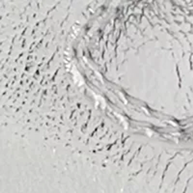 Toddler Girl Duncan Sandals