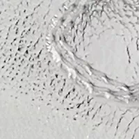 Toddler Girl Duncan Sandals