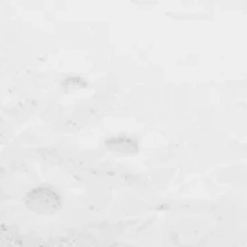 Toddler Girls Hilda White Sneaker Flats