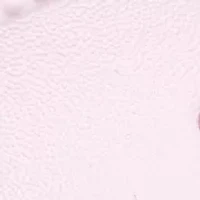 Little Kids Classic Star Sparkle Shaker Clogs