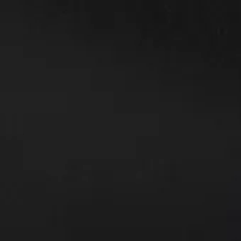 Bharkin Lace Up Boots