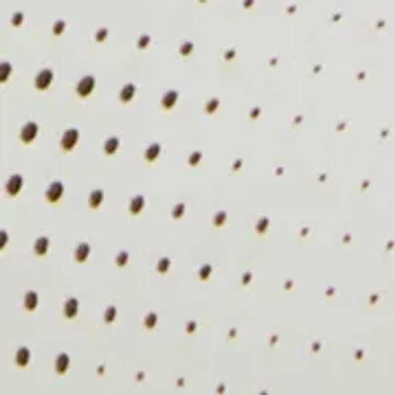 Big Kid Boys Boasys Sneakers