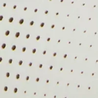 Big Kid Boys Boasys Sneakers