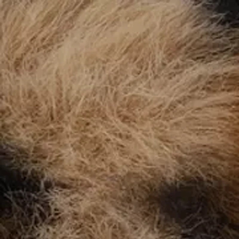 Big Kid Girls Leopard Print Scuff Slippers