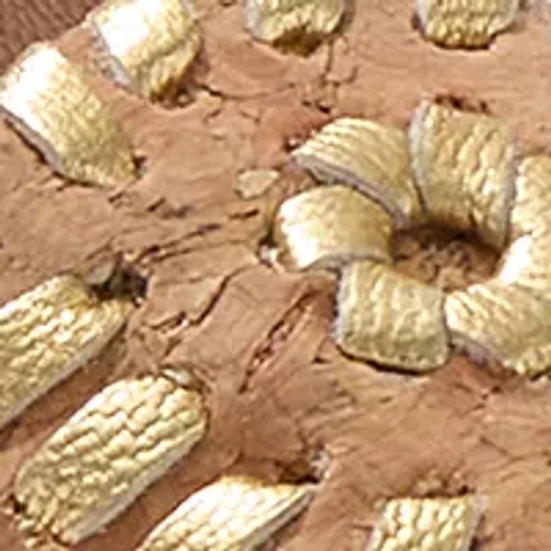 Toddler Girls Lauren Flats