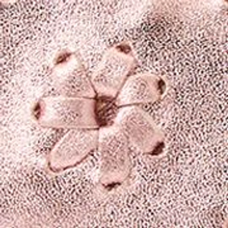 Big Kid Girls Lauren Flat Sandals