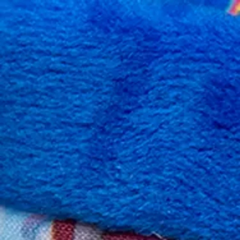 Paw Patrol Boys slippers