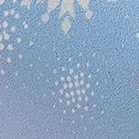 Frozen II Girls Flip Flops with back strap