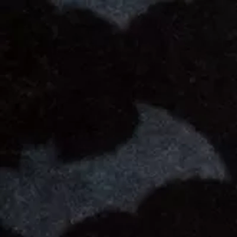 Batman Dual Sizes Boys Slippers